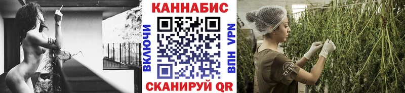 mega сайт  Сегежа  Конопля OG Kush 